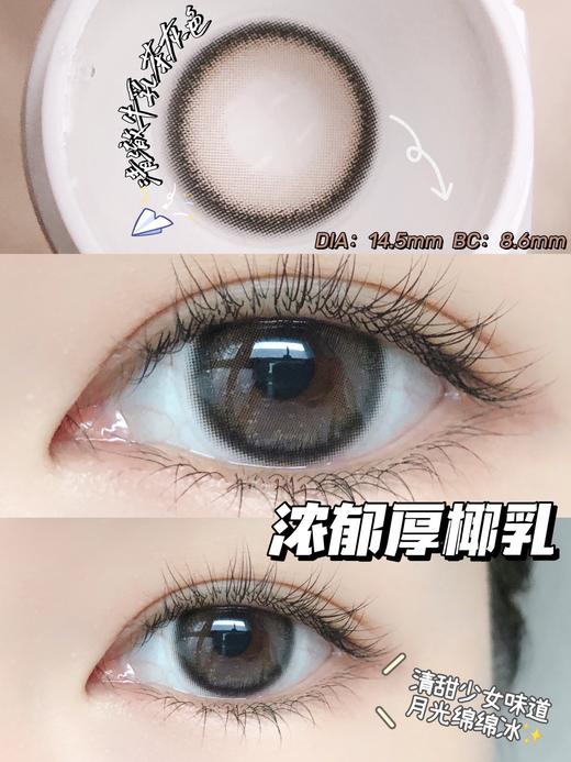 平价大直径丨厚椰乳·Budercon丨奶油椰子灰14.5mm（年抛/2片装） 商品图7