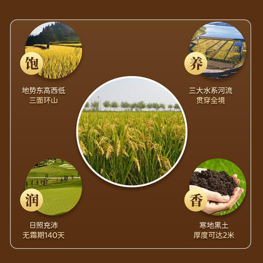 笑稻佳 五常大米 5kg/袋 商品图3