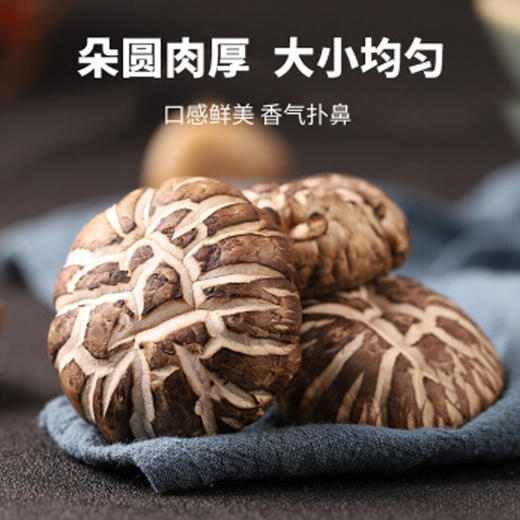 【云南帮扶】驻家鲜花菇150g 商品图4