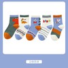 【5双装 优选好面料】A类儿童袜子春秋季精梳棉卡通袜子 儿童中筒袜子新款批发秋冬童袜男 商品缩略图10
