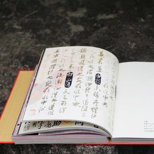 【签名本&普通本】《纸老虎日历 》鲁大东 著 商品图7