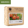盆栽种植包 KZ1013 番茄 商品缩略图1