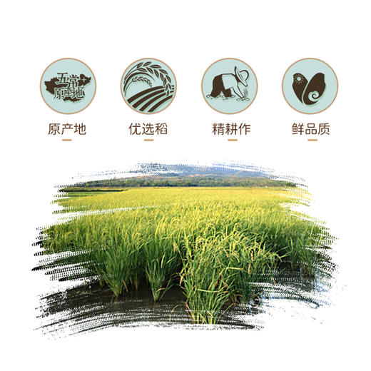 笑稻佳 五常大米 5kg/袋 商品图2