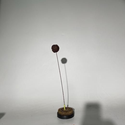 永生花材 ｜ 藤球黑巧 商品图2