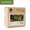 盆栽种植包 KZ1016 追云草 商品缩略图0