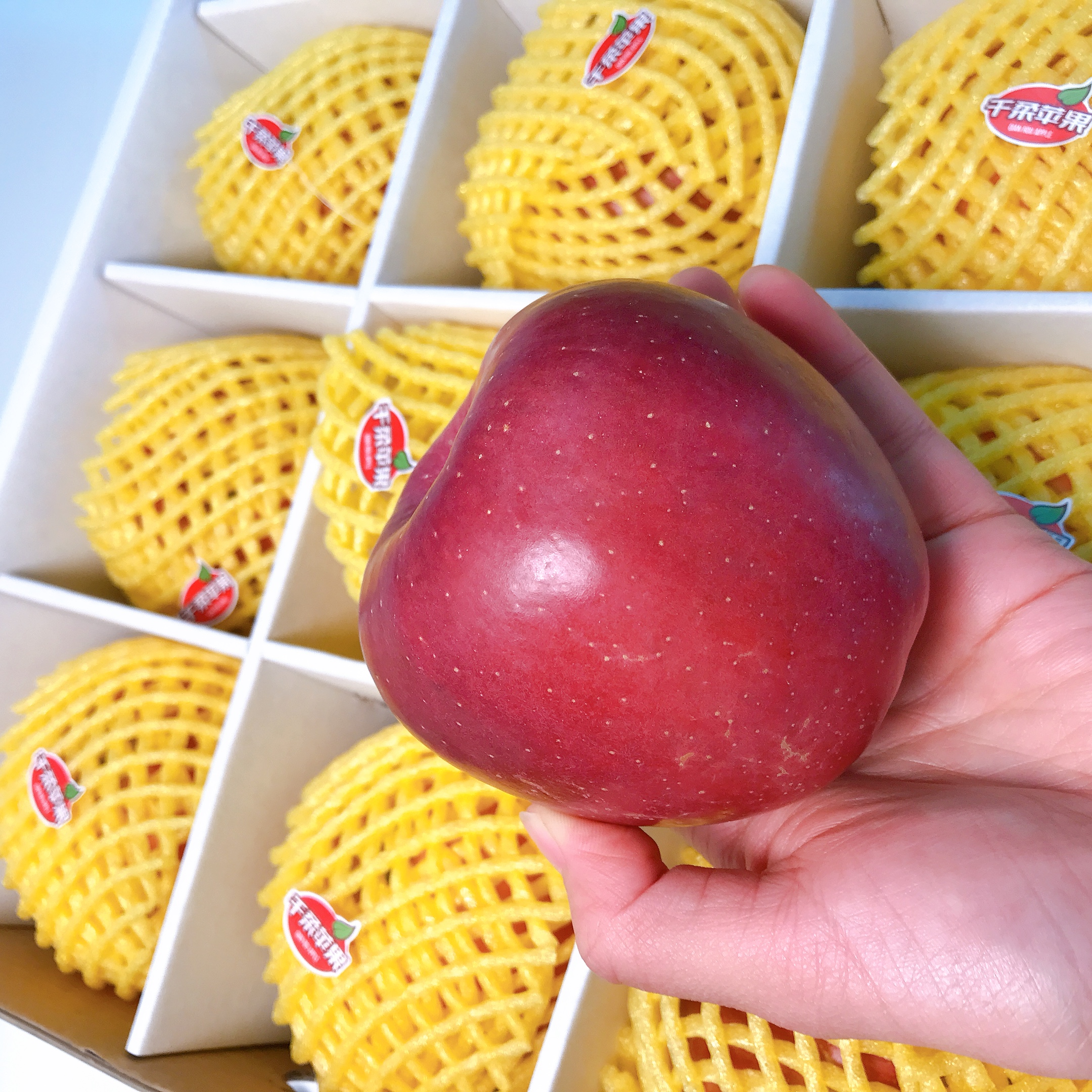 云南昭通苹果12颗箱约8斤味甜汁多嘎嘣脆