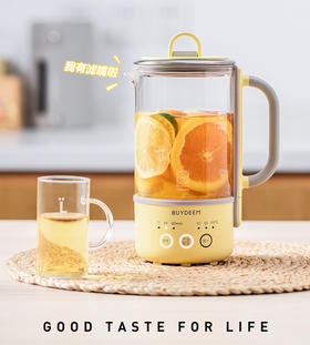 北鼎mini养生壶办公室多功能小型煮茶器迷你便携烧水壶花茶壶K31F