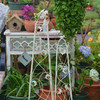 欧美式花园艺铁艺月季铁线莲植物爬藤花架攀爬架户外庭院阳台支架 商品缩略图0