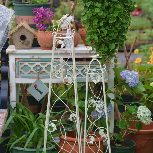 欧美式花园艺铁艺月季铁线莲植物爬藤花架攀爬架户外庭院阳台支架 商品图0