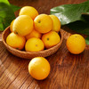 【地理标志产品-赣南脐橙】 优选信丰安远小产区 汁水一流 出口级别脐橙（净重9.5斤-10斤） 商品缩略图2