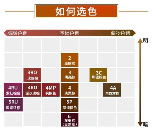 1F超市 日本美源宣若系列染发霜 商品图7