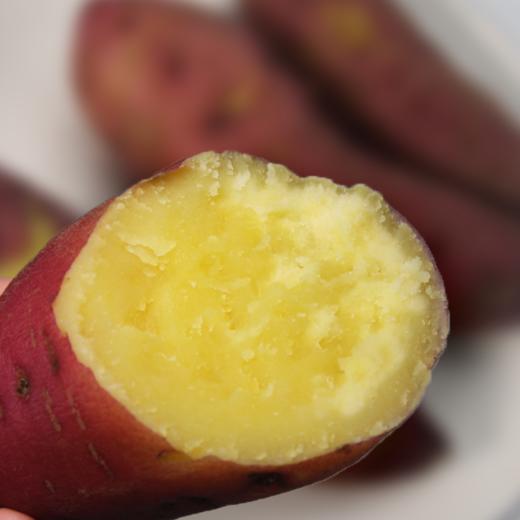 正宗桥头地瓜，精品果，产地直发，粉糯香甜【2112-2】 商品图5