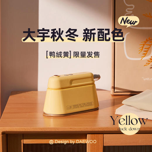 DAEWOO大宇 手持挂烫机熨烫机熨斗 家用小型蒸汽烫衣服便携HI-029 商品图1