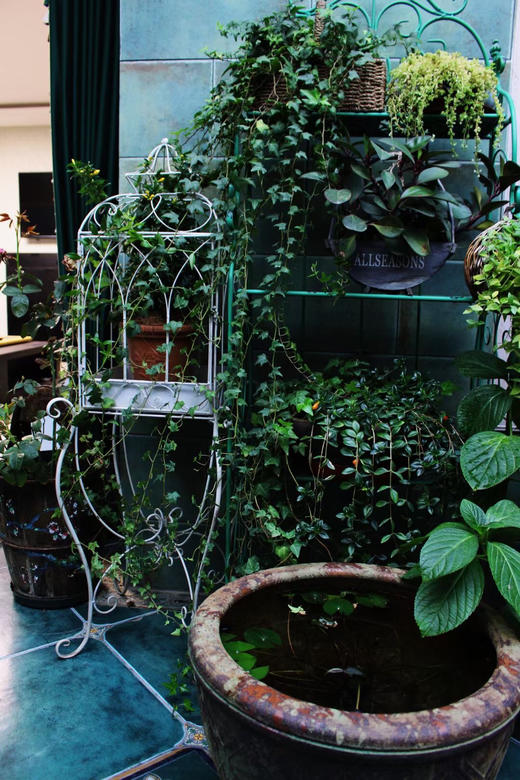 欧美式田园创意铁艺鸟笼多肉盆栽爬藤花架花园艺家居店铺庭院装饰 商品图0