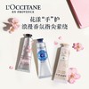 法国  L'OCCITANE欧舒丹 经典护手霜 (玫瑰/樱花/乳木果/薰衣草) 30ml/75ml/150ml 商品缩略图3