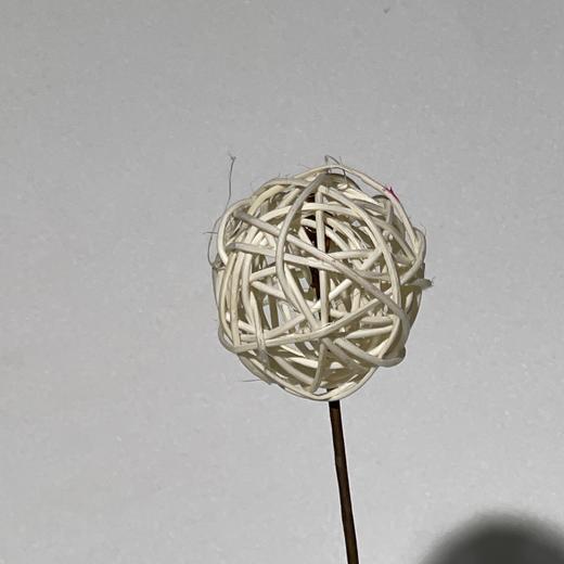 永生花材 ｜ 藤球白巧 商品图1