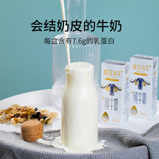 【喝更好的牛奶】 摩菲水牛纯牛奶206g*10盒来自大理海拔2000多米天然牧场 不加糖不加水 全脂牛奶 （全家人长期喝，建议囤5箱起） 商品图7