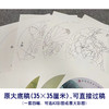 杨冬冬工笔画白描底稿荷花一套四幅初学者尺寸35*35厘米TY04 商品缩略图2