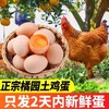 【严选】誉福园橘园谷饲鲜鸡蛋45g/个（厂家直发） 商品缩略图0