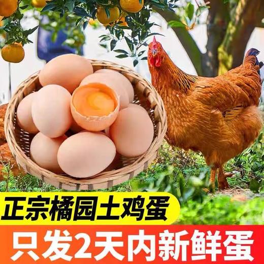 【严选】誉福园橘园谷饲鲜鸡蛋45g/个（厂家直发） 商品图0