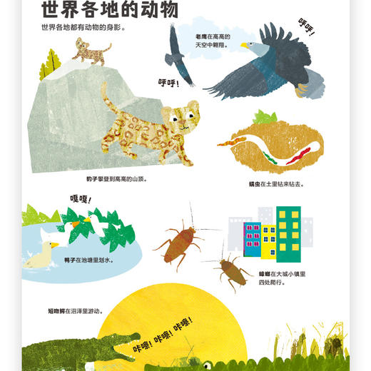 后浪正版 忙碌的动物 3-6岁全景情境认知游戏书 了解动物的生活 浪花朵朵童书 商品图3