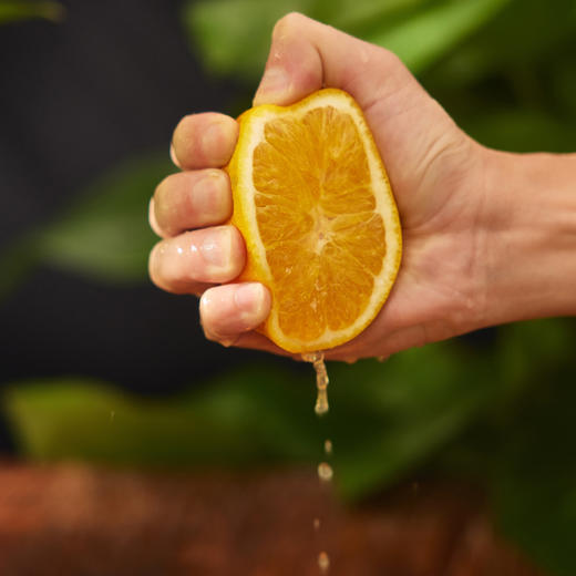 【地理标志产品-赣南脐橙】 优选信丰安远小产区 汁水一流 出口级别脐橙（净重9.5斤-10斤） 商品图4