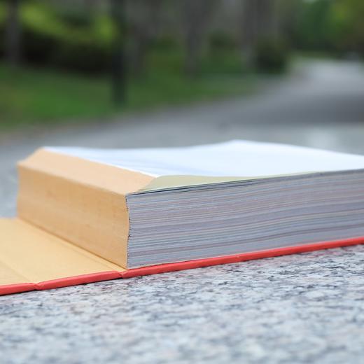 【签名本&普通本】《纸老虎日历 》鲁大东 著 商品图9