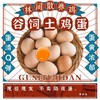 【严选】誉福园橘园谷饲鲜鸡蛋45g/个（厂家直发） 商品缩略图5