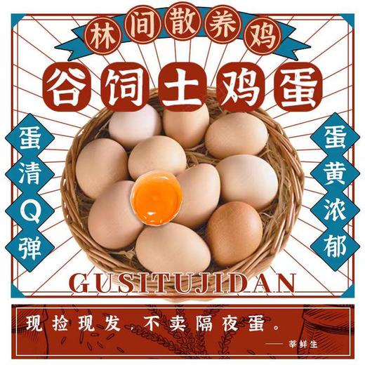 【严选】誉福园橘园谷饲鲜鸡蛋45g/个（厂家直发） 商品图5