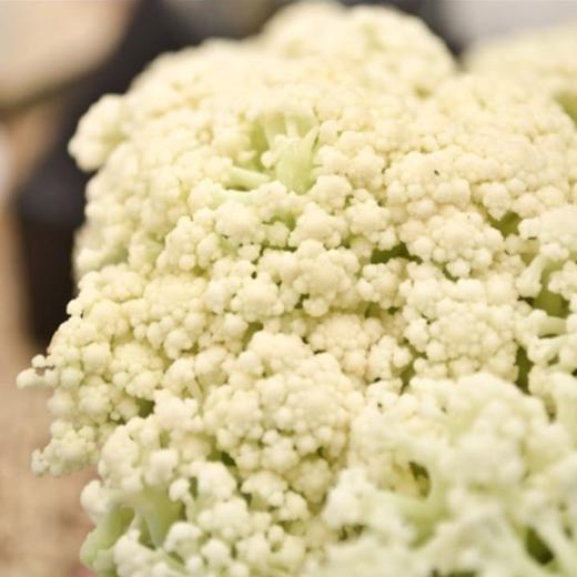 【蔬】花菜 一颗（约850g） 商品图2