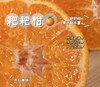 精装春见 粑粑柑 纯甜【5斤】 商品缩略图1