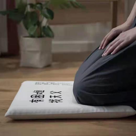 d*g之时跪垫（记忆棉）祈祷就得着，自用团*契送礼 商品图0