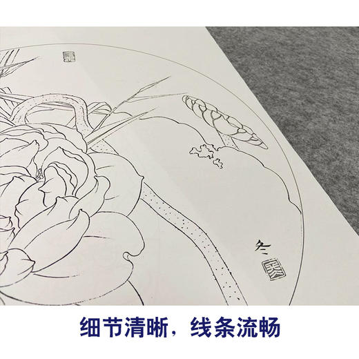 杨冬冬工笔画白描底稿荷花一套四幅初学者尺寸35*35厘米TY04 商品图4