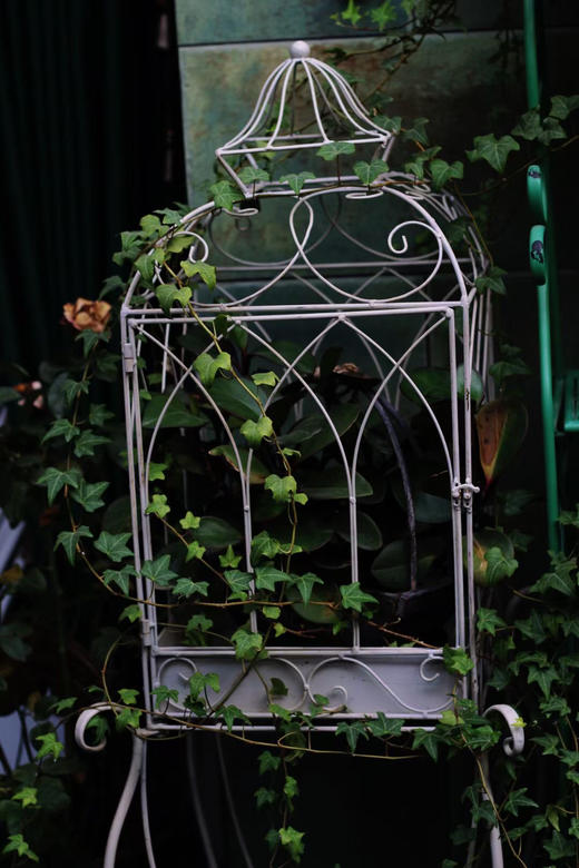 欧美式田园创意铁艺鸟笼多肉盆栽爬藤花架花园艺家居店铺庭院装饰 商品图1