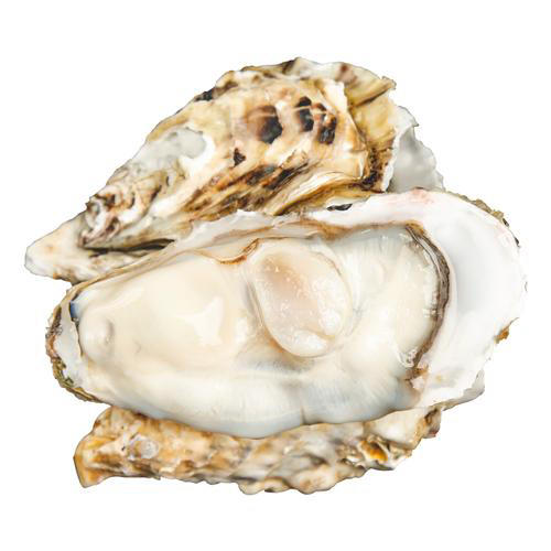 【一入蚝门深似海】真正乳山生蚝 乳山核心产区 国内生蚝的天花板 完美媲美国外顶级生蚝 5斤/箱（6~8个）个大肉美 营养丰富 国家地理标志 商品图7