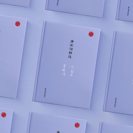 《唐宋词精选》（名家视角丛书） 商品图2