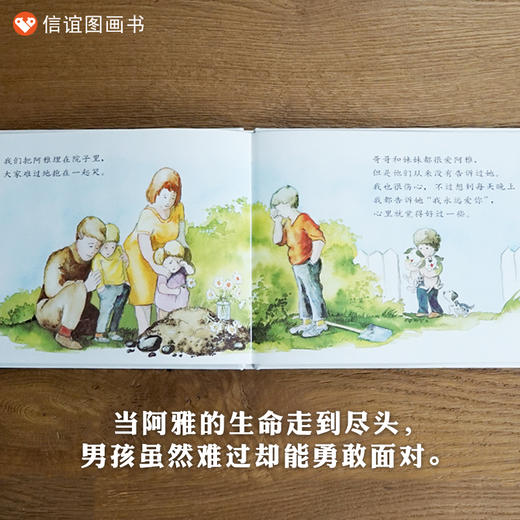 信谊世界精选图画书:我永远爱你  精装 商品图2