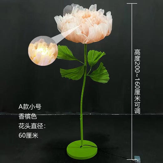 自动开合花特价款（运费自理） 商品图4