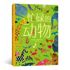 后浪正版 忙碌的动物 3-6岁全景情境认知游戏书 了解动物的生活 浪花朵朵童书