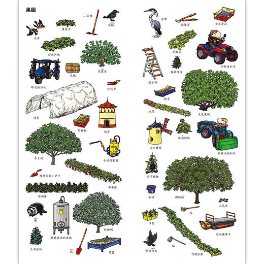 长长的小百科：大农场，小农场 超长开本 含5大翻页画卷 228种农场事物 针对儿童视觉发展设计 科普百科书籍 商品图3