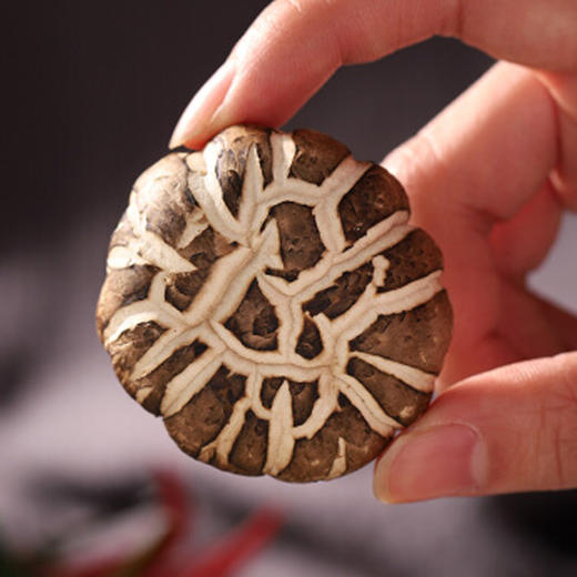 【云南帮扶】驻家鲜花菇150g 商品图2