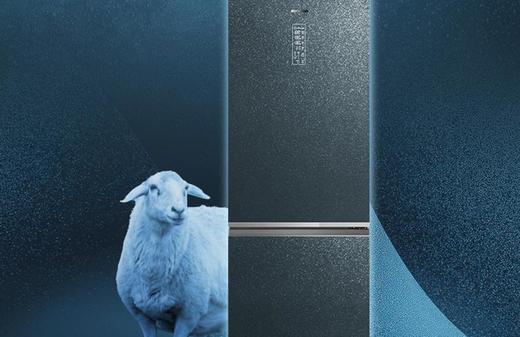 容声BCD-415WKR1DPGA冰箱 商品图3