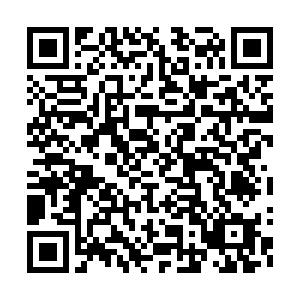 pcl-实物-衣服 商品图1