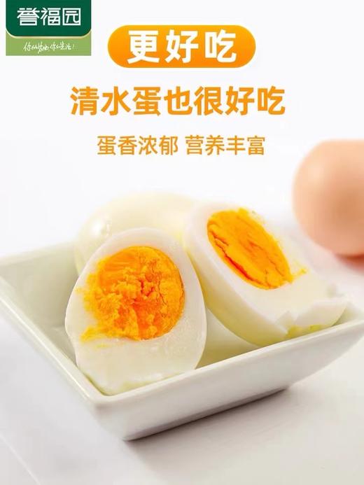 【严选】誉福园橘园谷饲鲜鸡蛋40-45g/个（厂家直发） 商品图1
