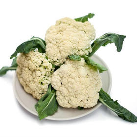 【蔬】花菜 一颗（约850g）