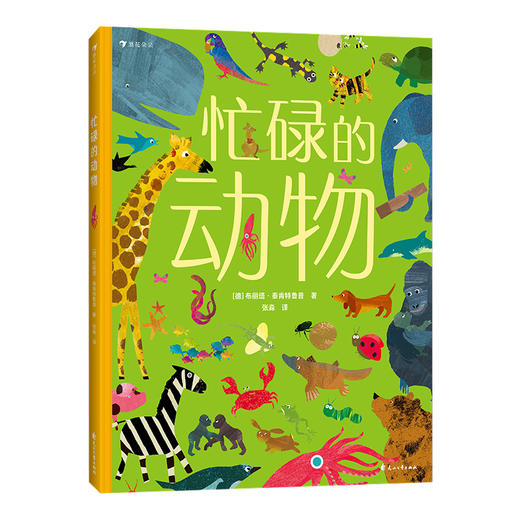 后浪正版 忙碌的动物 3-6岁全景情境认知游戏书 了解动物的生活 浪花朵朵童书 商品图4