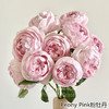 肯尼亚进口Peony Pink粉牡丹玫瑰花10支 商品缩略图2