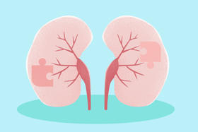 冬季补肾正当时！封藏精气，全身受益！