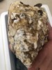 【一入蚝门深似海】真正乳山生蚝 乳山核心产区 国内生蚝的天花板 完美媲美国外顶级生蚝 5斤/箱（6~8个）个大肉美 营养丰富 国家地理标志 商品缩略图0