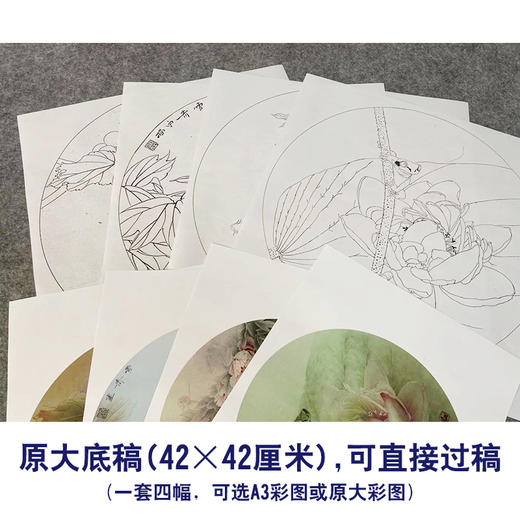 龚雪青工笔画白描底稿葡萄荷花一套四幅初学者尺寸42*42厘米TG02 商品图2
